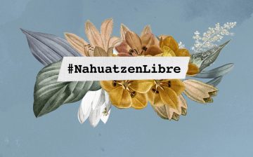 Acción Urgente OMCT- FIDH BRUSELAS: Amenazas e intimidación contra el Consejo Ciudadano Indígena de Nahuatzen