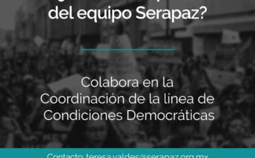 Convocatoria: Coordinación de la línea de Condiciones Democráticas
