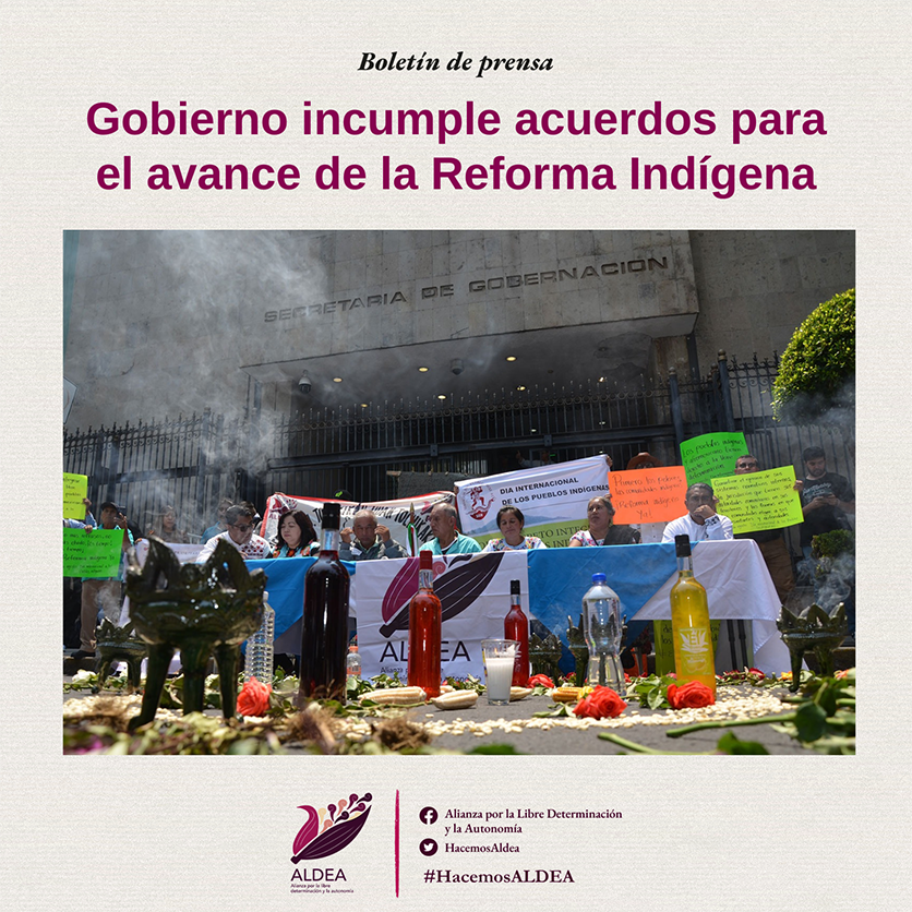 Gobierno Federal incumple acuerdos con pueblos originarios para el avance de la Reforma Indígena: ALDEA