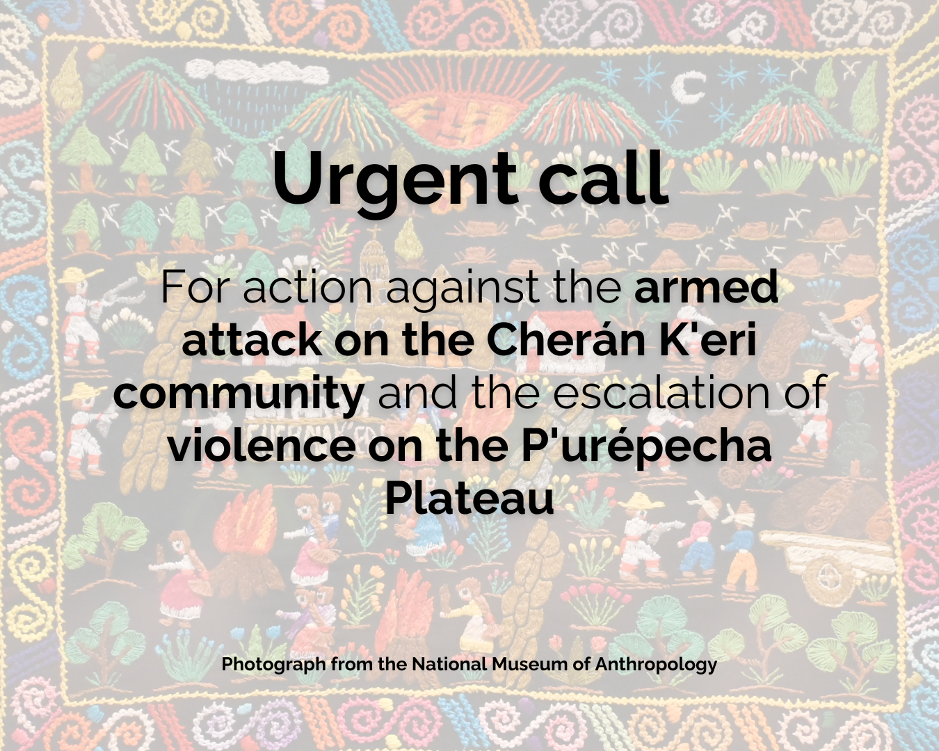 Urgent call for action against the armed attack on the Cherán K’eri community and the escalation of violence on the P’urépecha Plateau